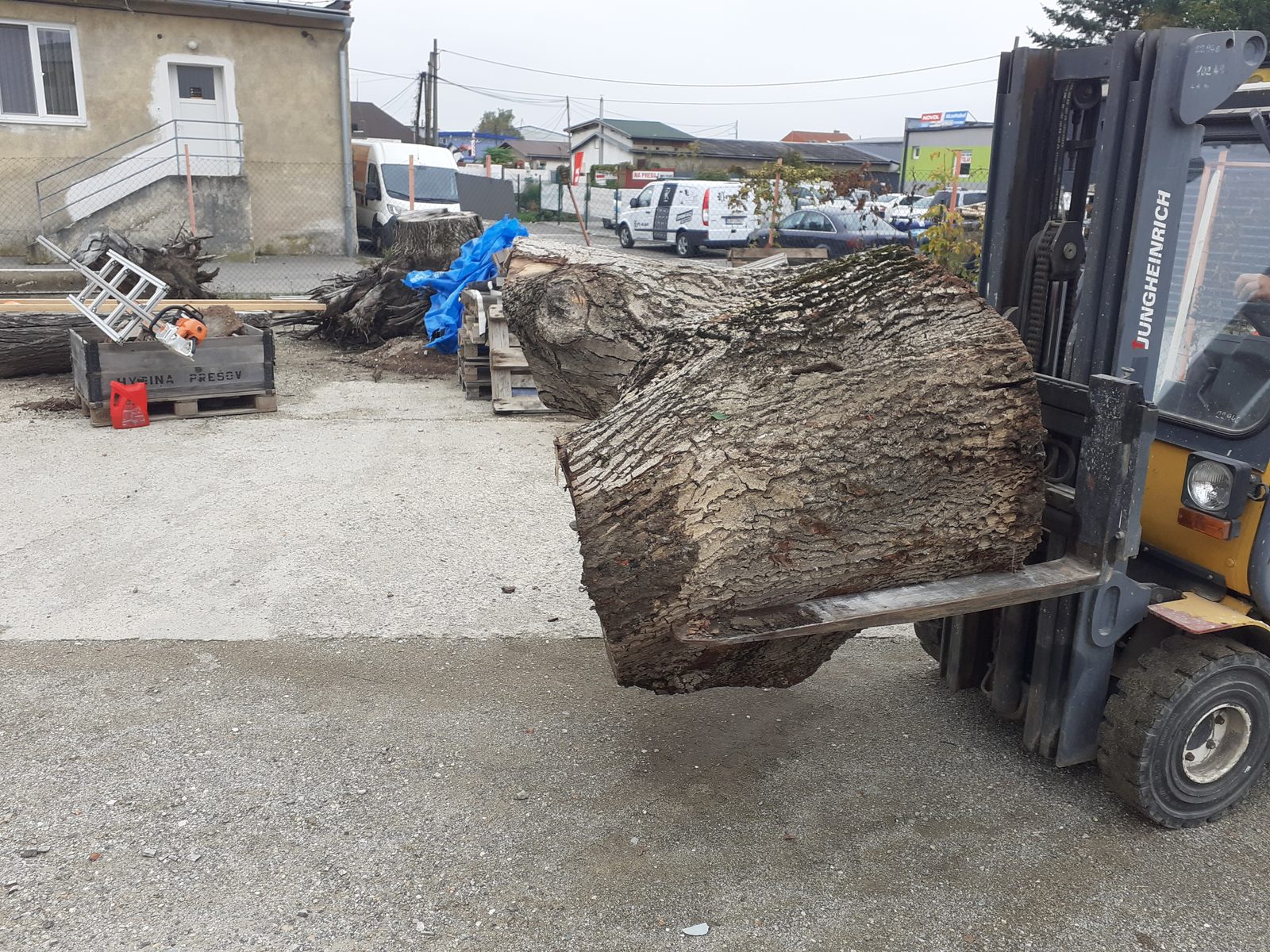 Referencie arboristika