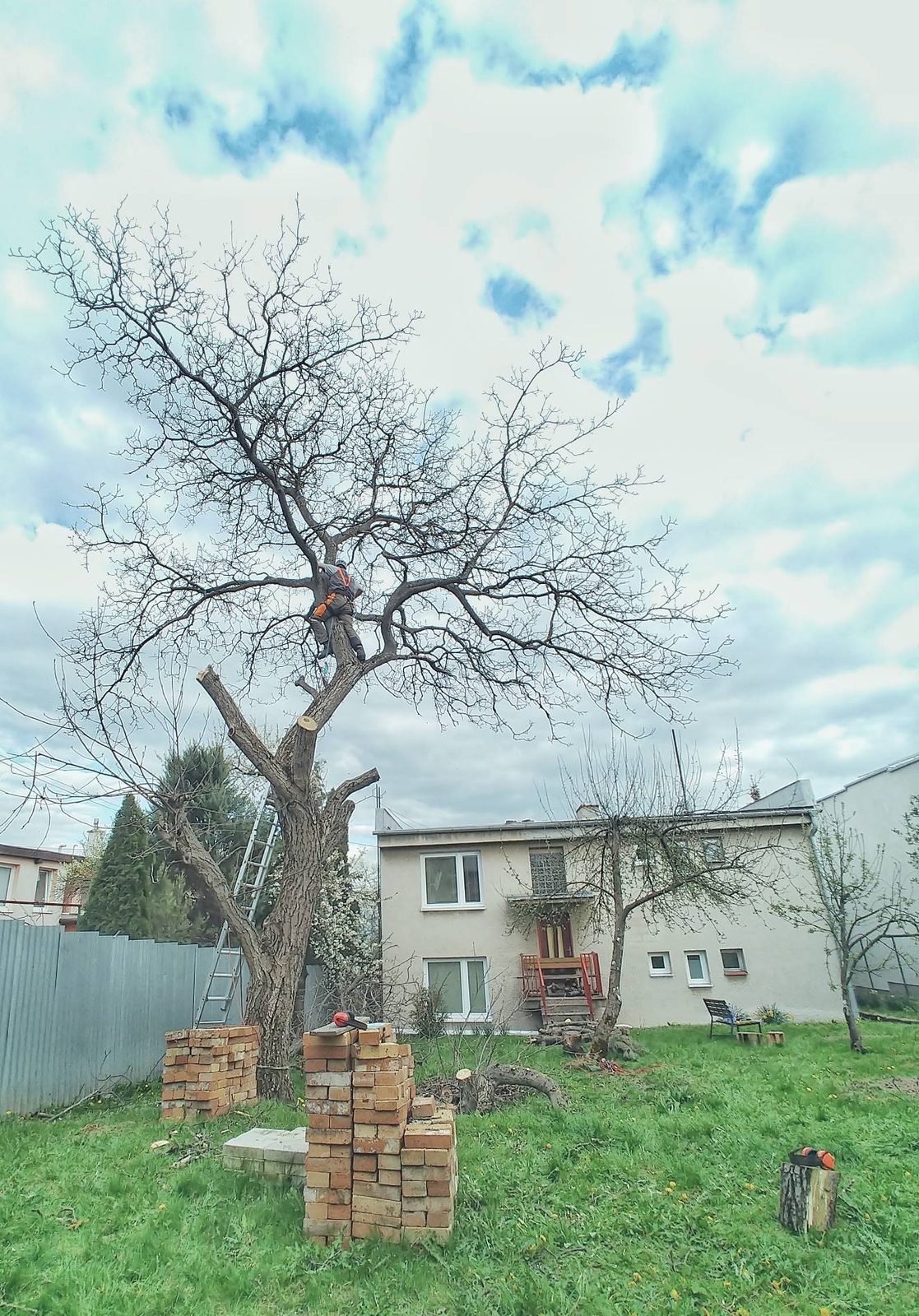 Referencie arboristika